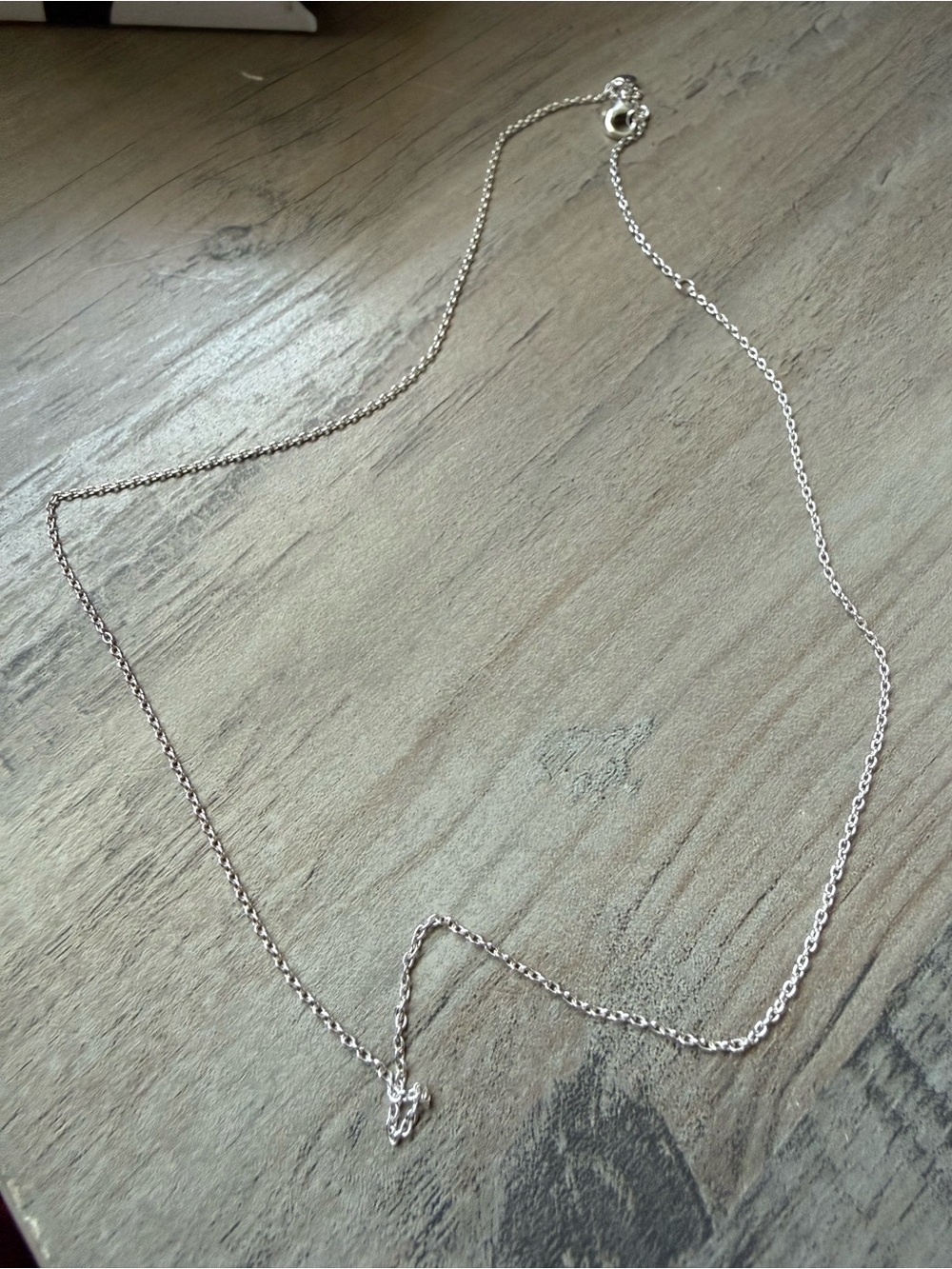 Authentic Pandora Classic Cable Chain 17.7”